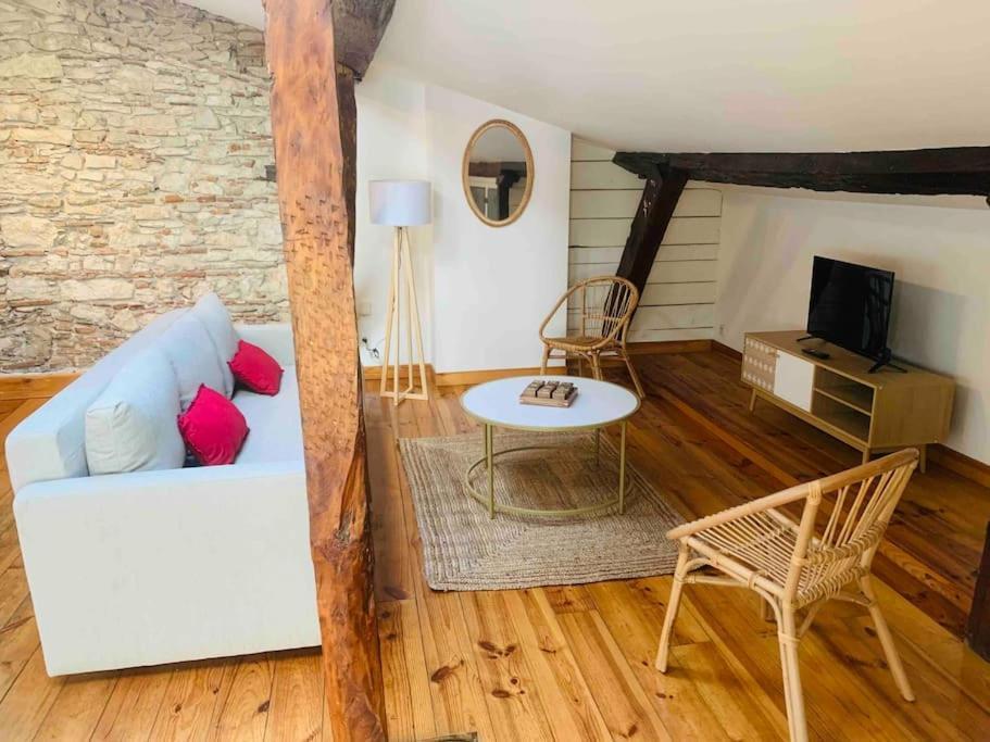 Spacieux Appartement En Plein Coeur De Castres Castres  Luaran gambar