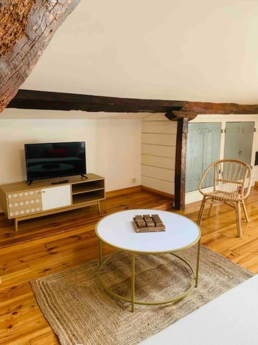 Spacieux Appartement En Plein Coeur De Castres Castres  Luaran gambar