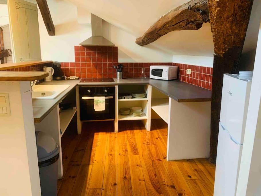 Spacieux Appartement En Plein Coeur De Castres Castres  Luaran gambar