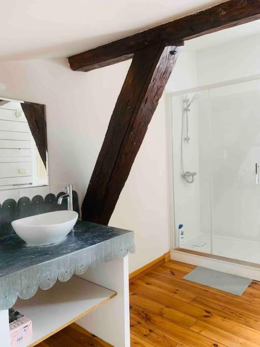 Spacieux Appartement En Plein Coeur De Castres Castres  Luaran gambar